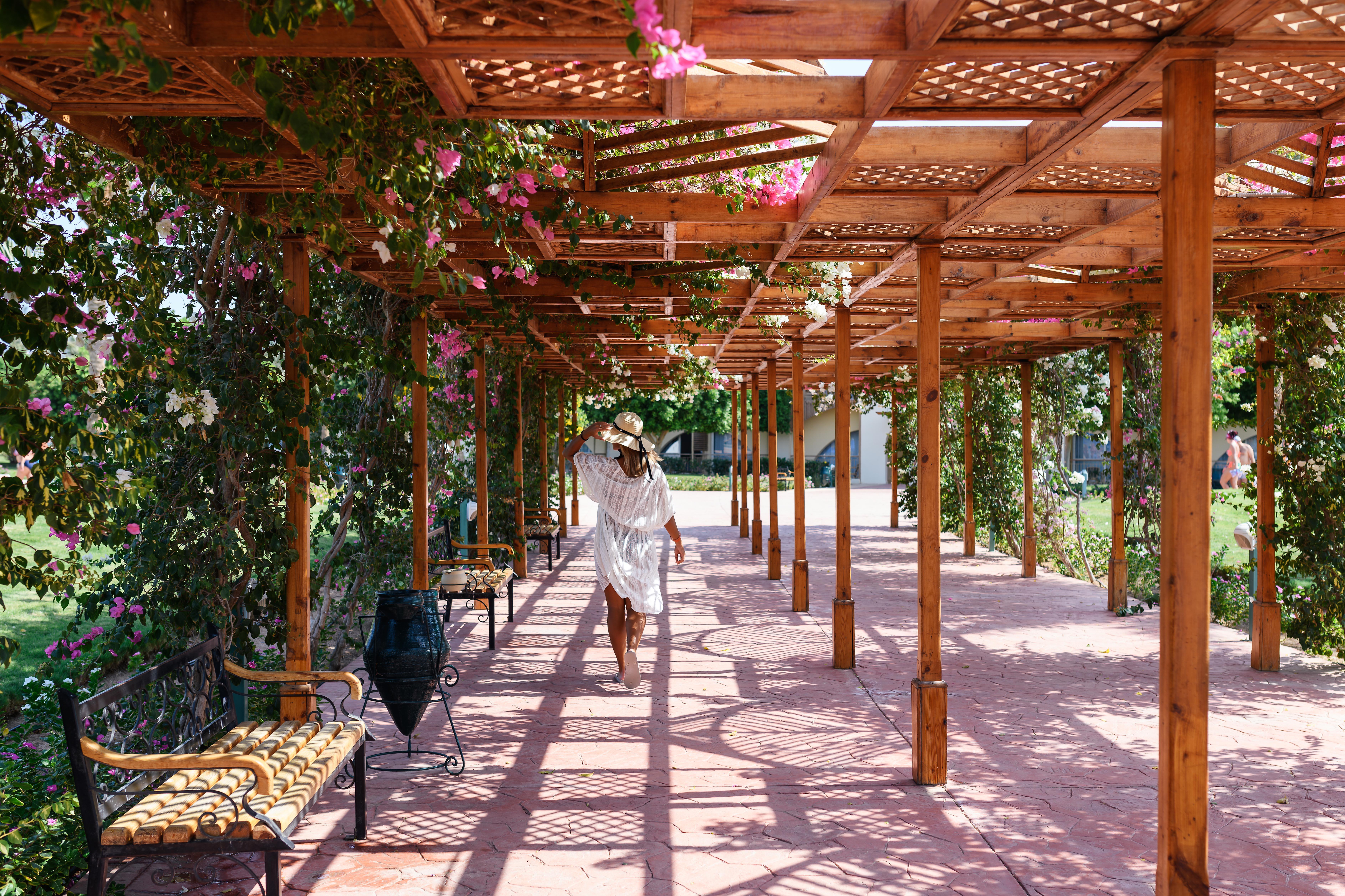 Desert Rose Resort Hurghada Esterno foto Pergola at the Desert Botanical Gardens